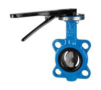 RIEGLER 103682-350.6050B Clapet d'arrêt intermédiaire DN 50