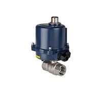 RIEGLER 103703-350.2813R Robinet à boisseau sphérique en laiton à 2 voies, actionneur électrique, 24 V DC, Rp 1 1/4, 1 pièce