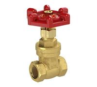 RIEGLER 103777-250.36 Robinet-vanne à manchon sans course en laiton G 1 DN 25