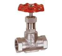 RIEGLER 103798-250.53 ES Robinet d'arrêt à manchon en acier inoxydable 1.4401/1.4408, G 1, DN 25, 1 pièce