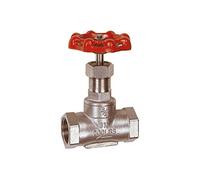 RIEGLER 103799-250.54 ES Robinet d'arrêt à manchon en acier inoxydable 1.4401/1.4408, G 1 1/4, DN 32, 1 pièce
