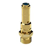 RIEGLER 103999-226.01-7,1 Soupape de sécurité DN 8, laiton, G 1/4, pression de contact 7,1 bar, 1 pièce