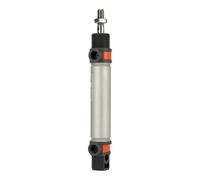 RIEGLER 105718-8.DM.20250 Cylindre rond TP double trame, aimant, piston Ø 20, course 250, G 1/8, 1 pièce