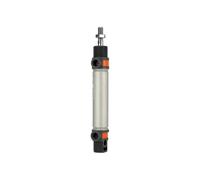 RIEGLER 105720-8.DM.25010 Cylindre rond TP double trame, aimant, piston Ø 25, course 10, G 1/8, 1 pièce