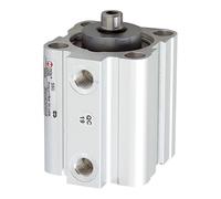 RIEGLER 105959-3.EMF.25025 Cylindre de levage court, mécanisme simple, aimant, piston Ø 25, course 25, G 1/8, 1 pièce