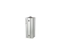 RIEGLER 106042-7.DMI.100050 Cylindre compact Liner double action IG Kol.-Ø 100, hub 50, G 1/8, 1 pièce
