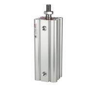 RIEGLER 106098-7.DMA.63030 Cylindre compact LINER, double fil, filetage extérieur, diamètre 63, hub 30, G 1/8, 1 pièce