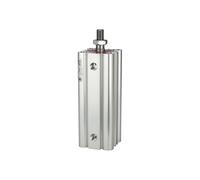 RIEGLER 106115-7.DMA.100015 Cylindre compact LINER, double fil, filetage AG, Kol.-Ø100, hub 15, G 1/8, 1 pièce