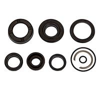 RIEGLER 106174-235.19-M Jeu de joints d'étanchéité pour cylindre compact, piston Ø 50, joint en polyuréthane, 1 pièce