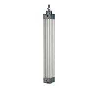 RIEGLER 106194-5.DMD.40100 Cylindre standard à double effet, aimanté, piston Ø 40, course 100, G 1/4, 1 pièce