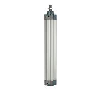 RIEGLER 106195-5.DMD.40125 Cylindre standard à double action aimanté Ø 40 Course 125 G 1/4