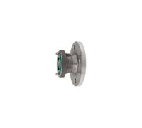 RIEGLER 108349-3406.6650 Pièce de transition Storz, ES V4A, taille Storz 52-C, bride DN 50, 1 pièce