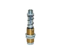 RIEGLER 108543-FS 1418-50 Poussette à ressort, raccord d'aspiration G 1/4 AG, débattement 50 mm, 1 pièce