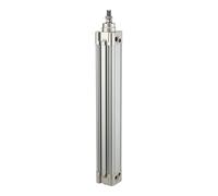RIEGLER 114616-10.DMD.125025 SE Cylindre standard double action, piston Ø 125, course 25, G 1/2, 1 pièce