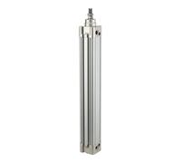 RIEGLER 114617-10.DMD.125050 SE Cylindre standard double action, piston Ø 125, course 50, G 1/2, 1 pièce