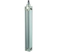 RIEGLER 114625-10.DMD.125200 SE Cylindre standard double action, piston Ø 125, course 200, G 1/2, 1 pièce