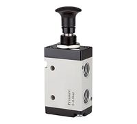 RIEGLER 115981-514.4005 Vanne 5/2 voies, actionnement par bouton-poussoir, 3L, G 3/8, 1 pièce