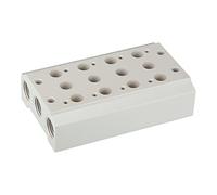 RIEGLER 116253-5520.04-18 Plaque de base multiple pour valves 5/2-5/3 voies, 4 positions, M5, G 1/8, 1 pièce