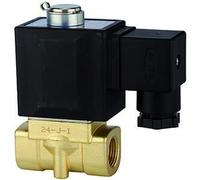 RIEGLER 116591-MVH 1521 2/2 voies MV, 2KW « MS,NO,Direcktg,230 V, 50 Hz, G 1/8, PN 0-20 bar, 1 pièce