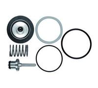 RIEGLER Riegler Kit de pièces d'usure pour régulateur de pression/filtre inox, BG 1 Quantité:1