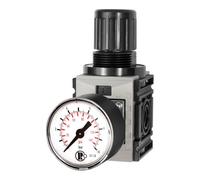RIEGLER 142402-FUM 7204 Régulateur de pression DV FUTURA-mini standard G 1/4 0,1-4 bar