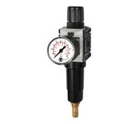 RIEGLER 142433-FUM 821 M-8 FUTURA-mini Régulateur de filtre en métal Std.mano, VA, G 1/4, 0,5-8, 1 pièce