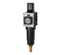 RIEGLER 142436-FUM 821 M-8-KM Régulateur de filtre « Futura mini », M-Beh, Kompaktmano, VA, G 1/4, 0,5-8, 1 pièce