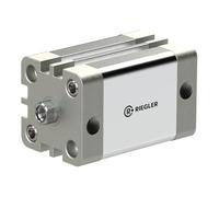 RIEGLER 155424-15.DMI.40120 Cylindre compact double effet IG Ø 40 Hub120 G1/8 ISO21287