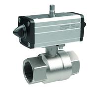 RIEGLER 351.211-1 Robinet à bille en laiton pneumatique à double action Rp 1