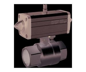 RIEGLER 351.215-1 Robinet à billes en laiton pneumatique avec entraînement par chambre à air comprimé à action simple Rp 3/8