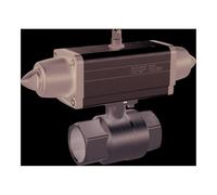 RIEGLER 351.312-1 Robinet à bille en laiton pneumatique à action simple Rp 1 1/4