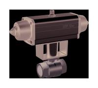 RIEGLER 351.520-2 Robinet à bille en acier inoxydable avec entraînement pneumatique à la pointe du pneumatique pour un fonctionnement facile, Rp 3/4