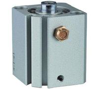 RIEGLER ASQ 115174-12.EM.20005 Cylindre de levage court à action simple, piston Ø 20, course 5, M5 x 0,8, 1 pièce