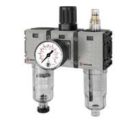 RIEGLER FUTURA-mini 142483-FUM 621-10 WE Lot de 3 pièces PC-B Standard Mano G 1/4 0,5-10 HA