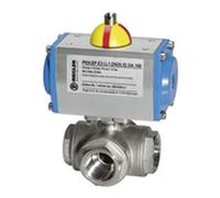 RIEGLER KHRP2ESANTDT1 Robinet à boisseau sphérique en acier inoxydable avec actionneur pneumatique double action T1, Rp 2