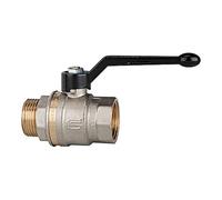 Riegler - Manomètre/160 mm/0 - 600 bar