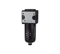 RIEGLER Multifix 100529-FV 11 S Préfiltre contenant PC avec panier de protection 0,3 µm, BG 1, G 1/4, 1 pièce