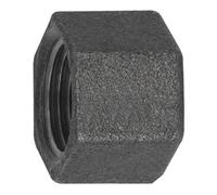 RIEGLER Riegler Bague 300, Rp 1 1/4 en fonte malléable noire Quantité:1