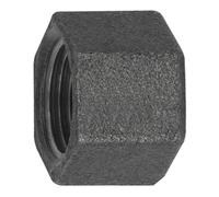 RIEGLER Riegler Bague 300, Rp 1 en fonte malléable noire Quantité:1