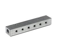RIEGLER Riegler Barre de distribution, sorties unilatérales, entrée 2x1/8, sortie 2xM5 Quantité:1