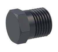 RIEGLER Riegler Bouchon aveugle, R 1/4 a., SW 10, PA 6 Quantité:1
