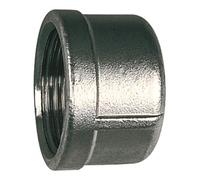 RIEGLER Riegler Bouchon de fermeture, rond, G 1 1/4, diamètre 49,0 mm, ES 1.4408 Quantité:1
