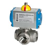 RIEGLER Riegler ES-Kuha, actionneur pneumatique double effet, alésage T2, Rp11/4 Quantité:1