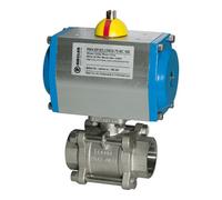 RIEGLER Riegler ES-Kuha, actionneur pneumatique, double effet, Rp 1 1/4, DN 32 Quantité:1