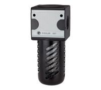 RIEGLER Riegler Filtre à charbon actif »multifix«, récipient PC, panier de protection, BG 1, G 1/4 Quantité:1