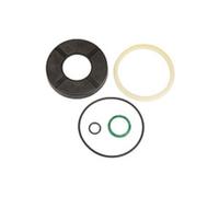 RIEGLER Riegler Jeu de joints, pour vérin à course courte, Ø piston 40, joint PU Quantité:1