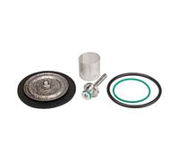 RIEGLER Riegler Jeu de pièces d'usure avec membrane PTFE, max. 50 bar, G 1/2 Quantité:1