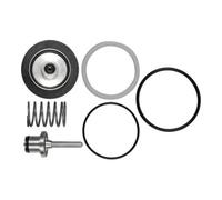 RIEGLER Riegler Kit de pièces d'usure pour régulateur de pression/filtre inox, BG 1 Quantité:1
