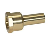 RIEGLER RIEGLER Manchon à visser laiton IG 1/2 BSP pour tube diamètre extérieur 15 mm Quantité:1