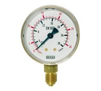 RIEGLER Riegler Manomètre neutre, G 1/4 radial bas, 0 - 10/16 bar, Ø 63 mm Quantité:1